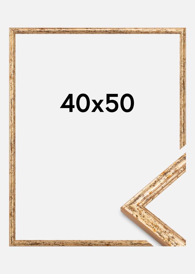 Rám Claudia Akrylglas Strieborný 40x50 cm