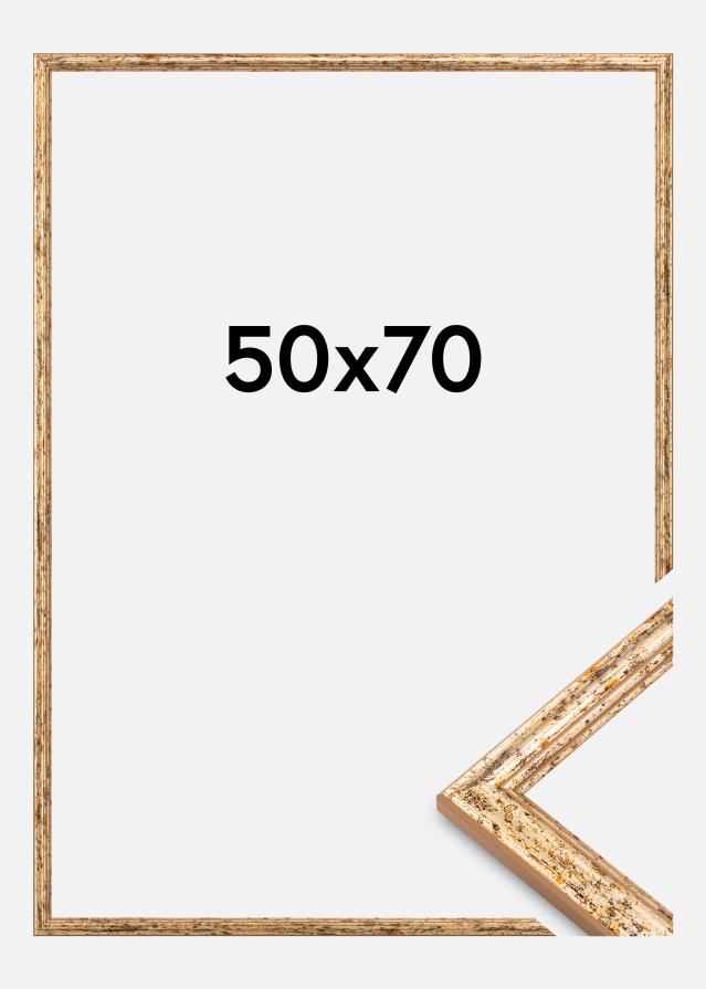 Rám Claudia Akrylglas Strieborný 50x70 cm