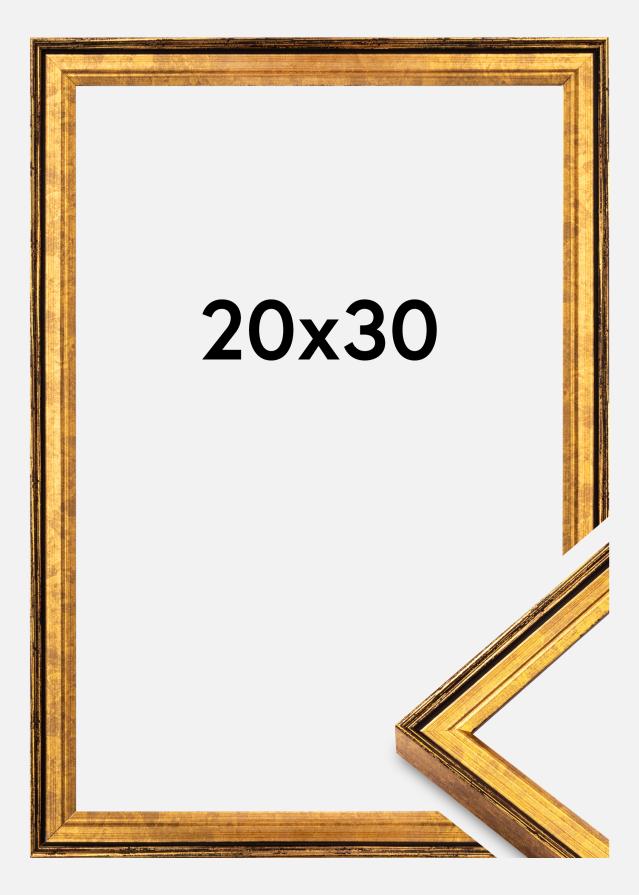 Rám Ringa Akrylglas Zlato 20x30 cm