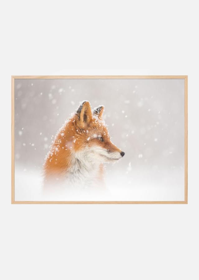 Snow is fallingab Plagát