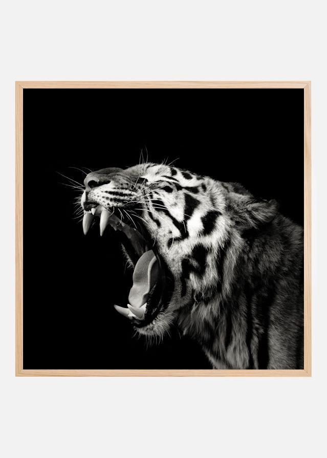 Primal Yawn #4 Plagát