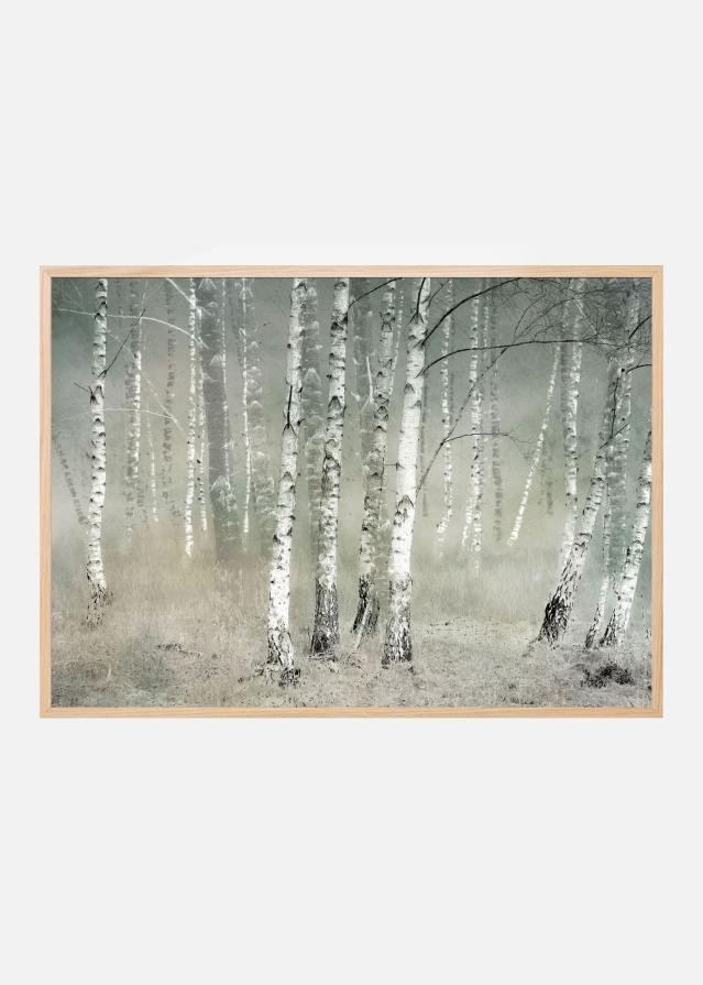 Morning silence Plagát