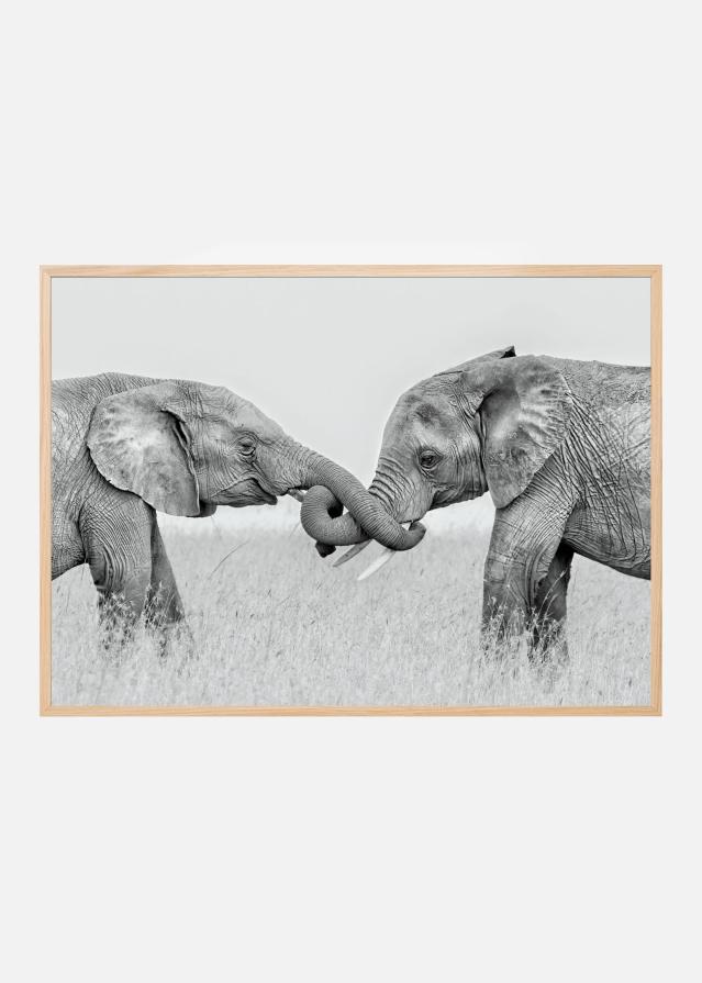 Confrontation Plagát