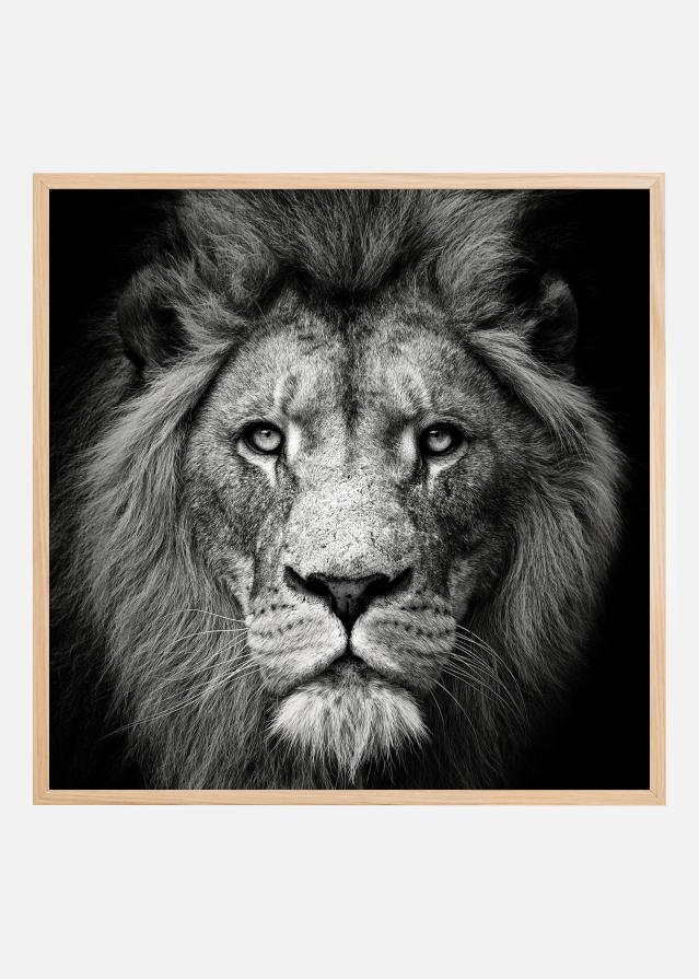 Stare Me Down #3 Plagát