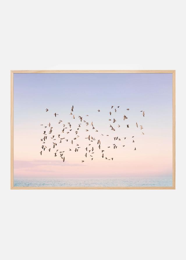 Sunset Flight Plagát