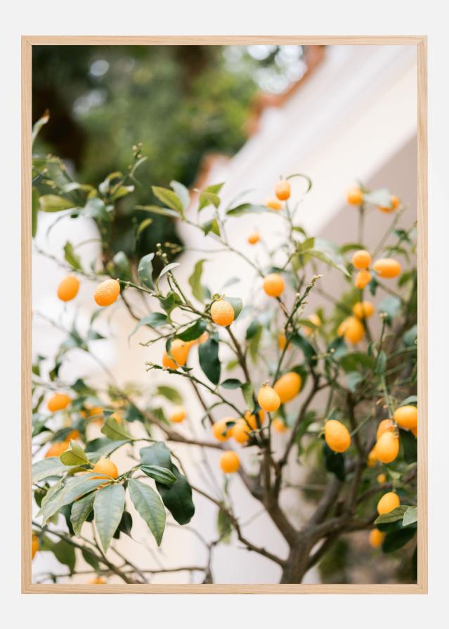 Orange Capri Plagát