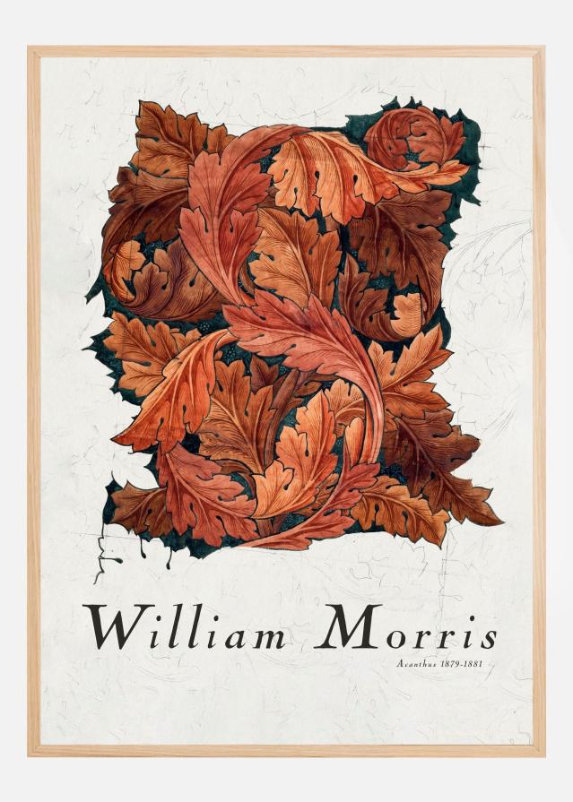 Acanthus Plagát