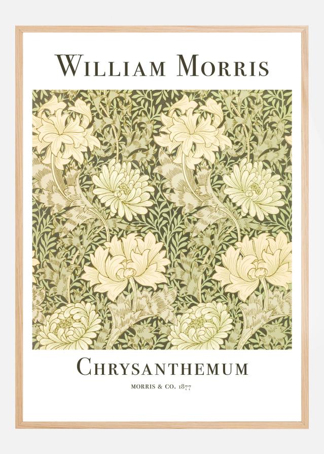 Chrysanthemum Plagát