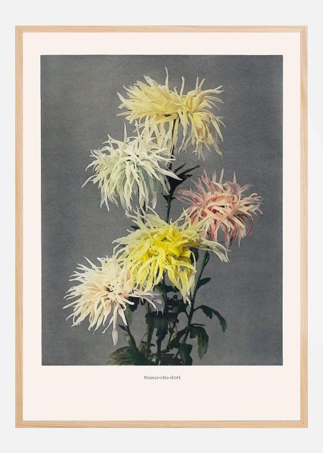 Namiachiadori Plagát