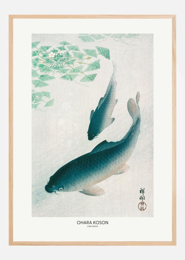 Carp Or Koi Plagát
