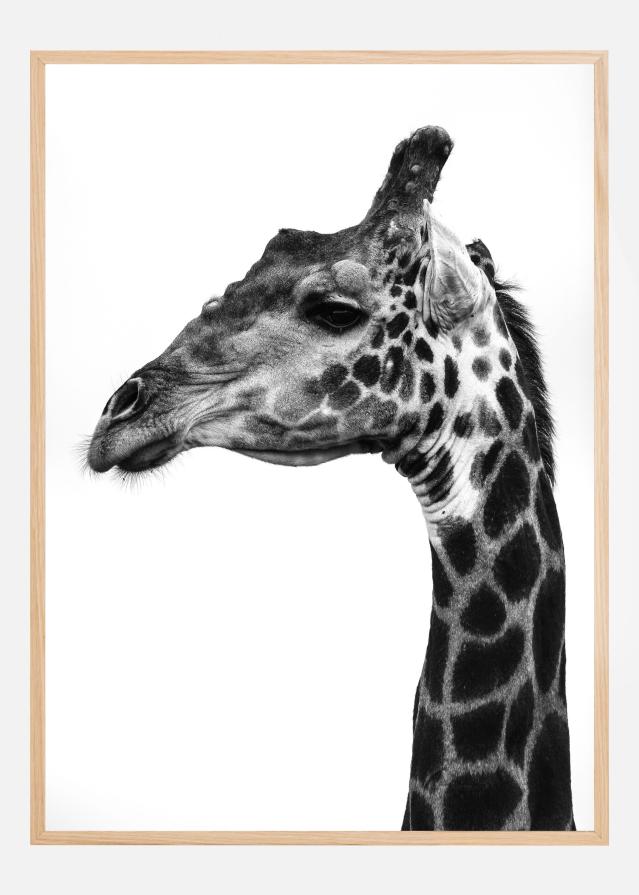 Super Safari No1 Plagát