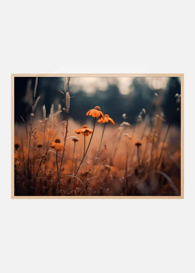 Orange Margarites Plagát