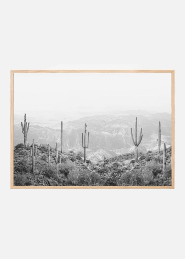 Western Cactus Plagát