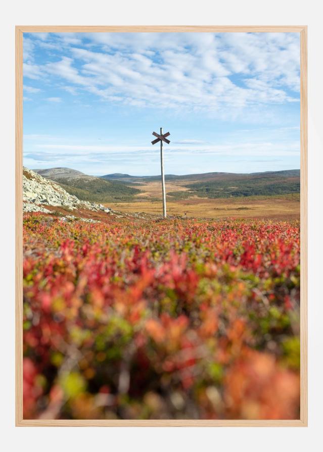 Summer ridge waypoint Plagát