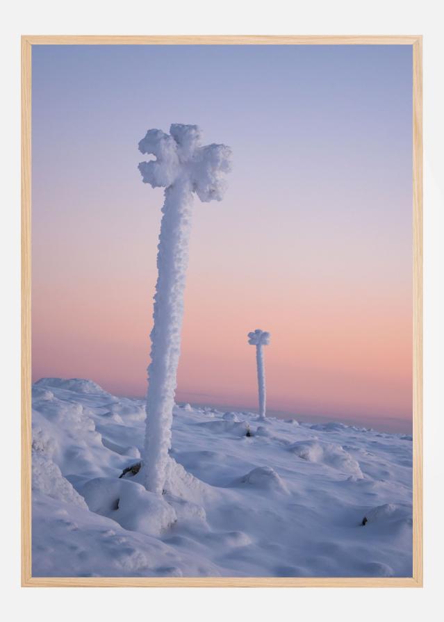Winter blossoms Plagát