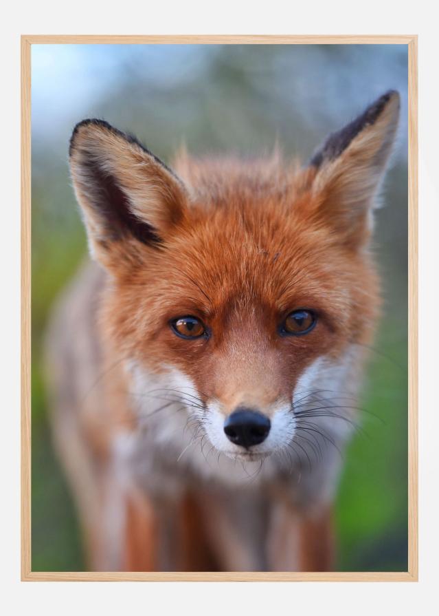 Rust in the wild Plagát