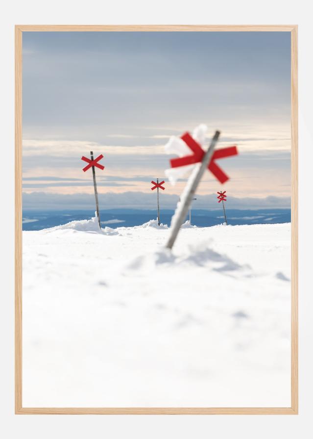 Red signs in the silence Plagát