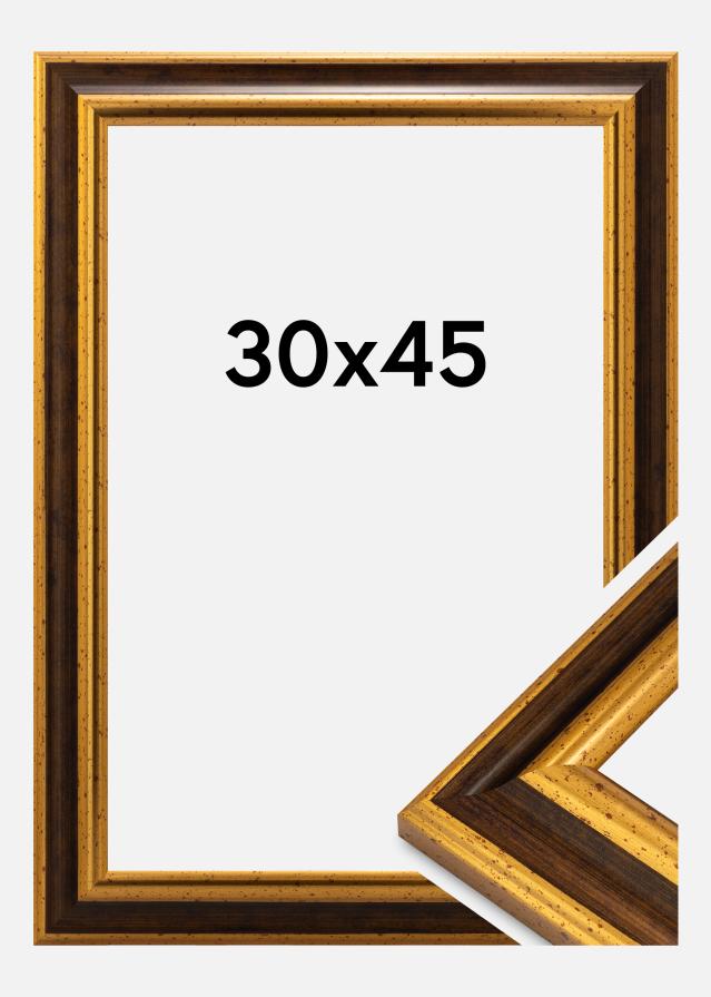 Rám Aberystwyth Akrylové sklo Zlatá 30x45 cm