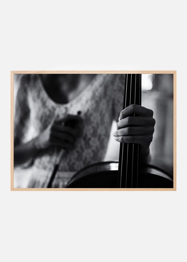 break for the cello Plagát