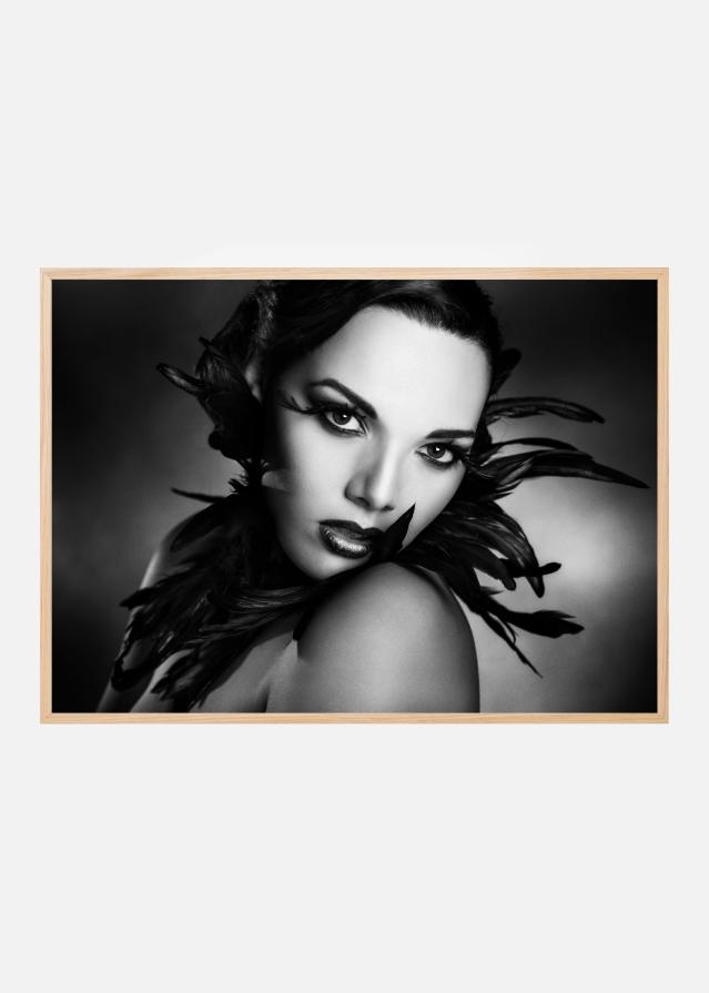 The black feathers Plagát