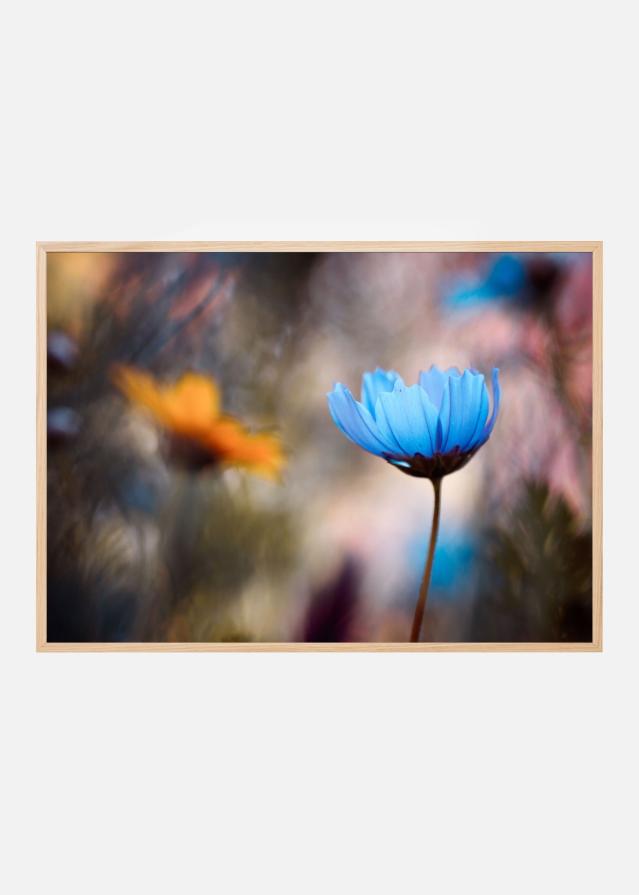 Do you wanna dance with me Plagát