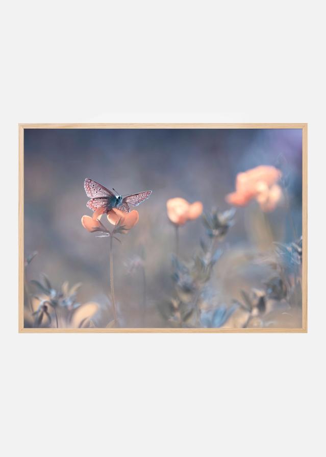 The Lady of Lothlorien Plagát