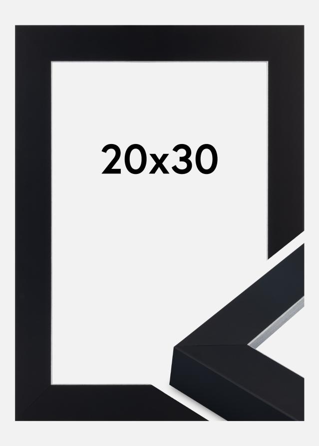 Rám Sussex Akrylové sklo Čierna/Strieborná 20x30 cm