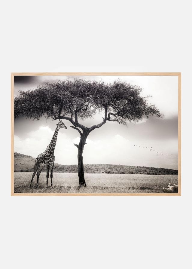 Under the African sun Plagát