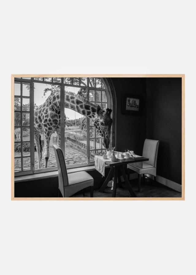 Breakfast time Plagát