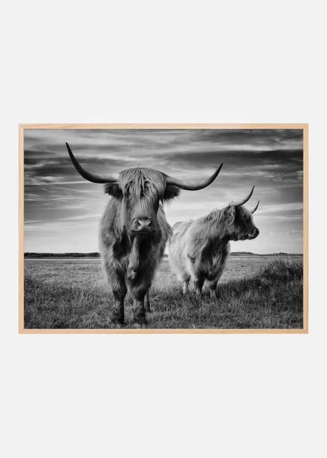 I am the boss Plagát