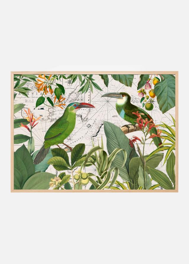 Parrots Nostalgic Journey 3 Plagát