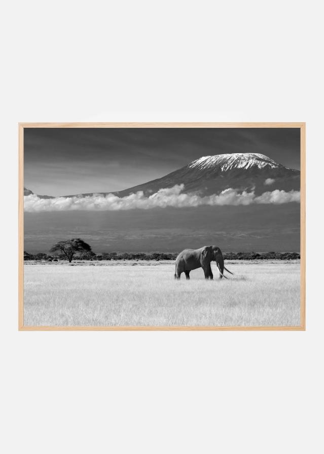 Lost Colors II Plagát