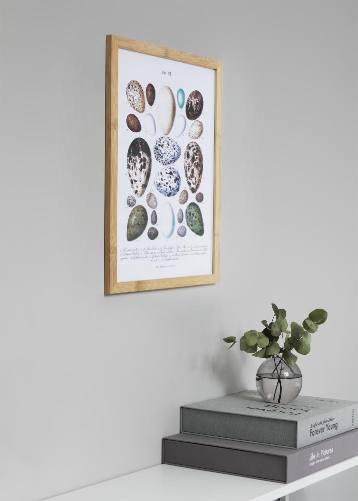 Rám Hoei Bamboo 50x70 cm - Pasparty biela 40x60 cm