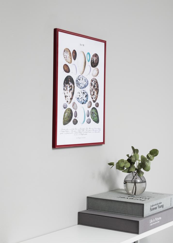 Rám New Lifestyle ČERVENÁ 70x100 cm - Pasparty Biela 61x91,5 cm