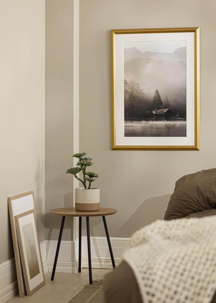 Rám Västkusten Akrylové sklo Zlatá 11x17 inches (27,94x43,18 cm)