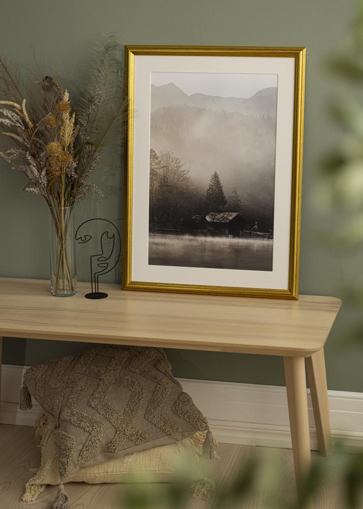 Rám Västkusten Akrylové sklo Zlatá 11x17 inches (27,94x43,18 cm)