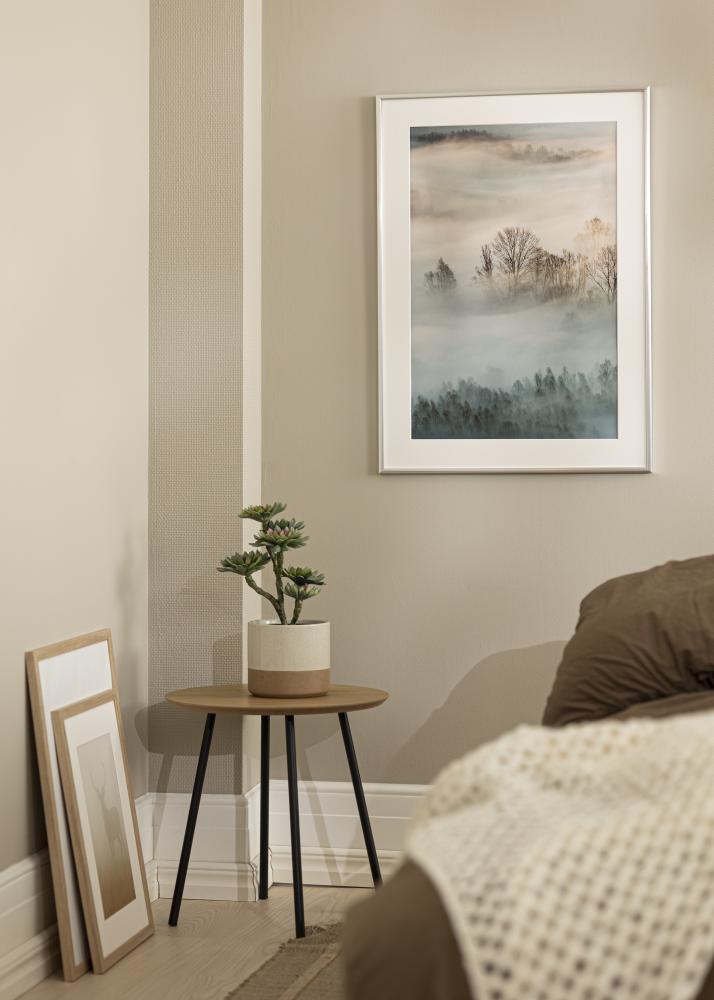 Rám New Lifestyle striebro 10x18 cm - Pasparty Biela 8x10 cm