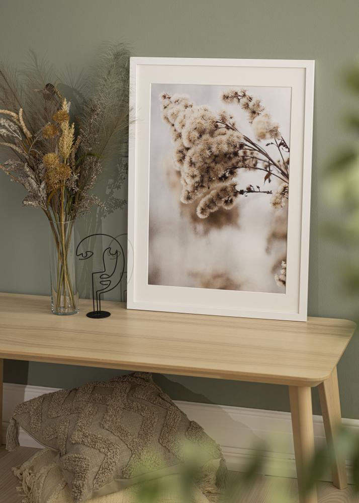 Rám Biele Drevo 65x90 cm - Pasparty Biela 55x80 cm