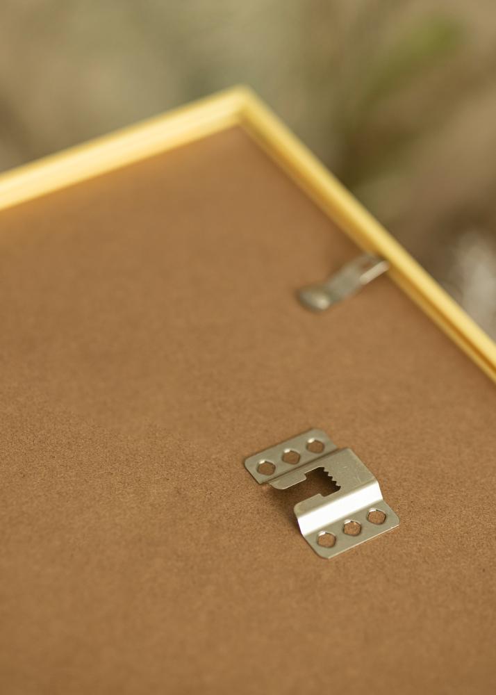 Rám New Lifestyle Zlato 60x90 cm - Pasparty Biela 40x70 cm