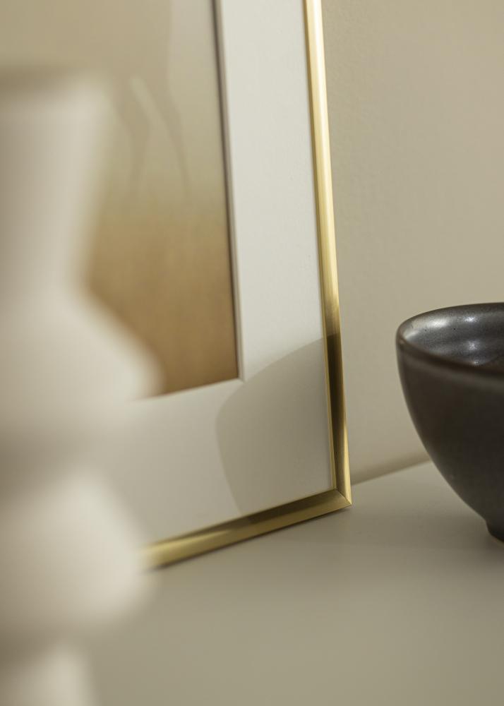 Rám New Lifestyle Zlato 60x90 cm - Pasparty Biela 40x70 cm