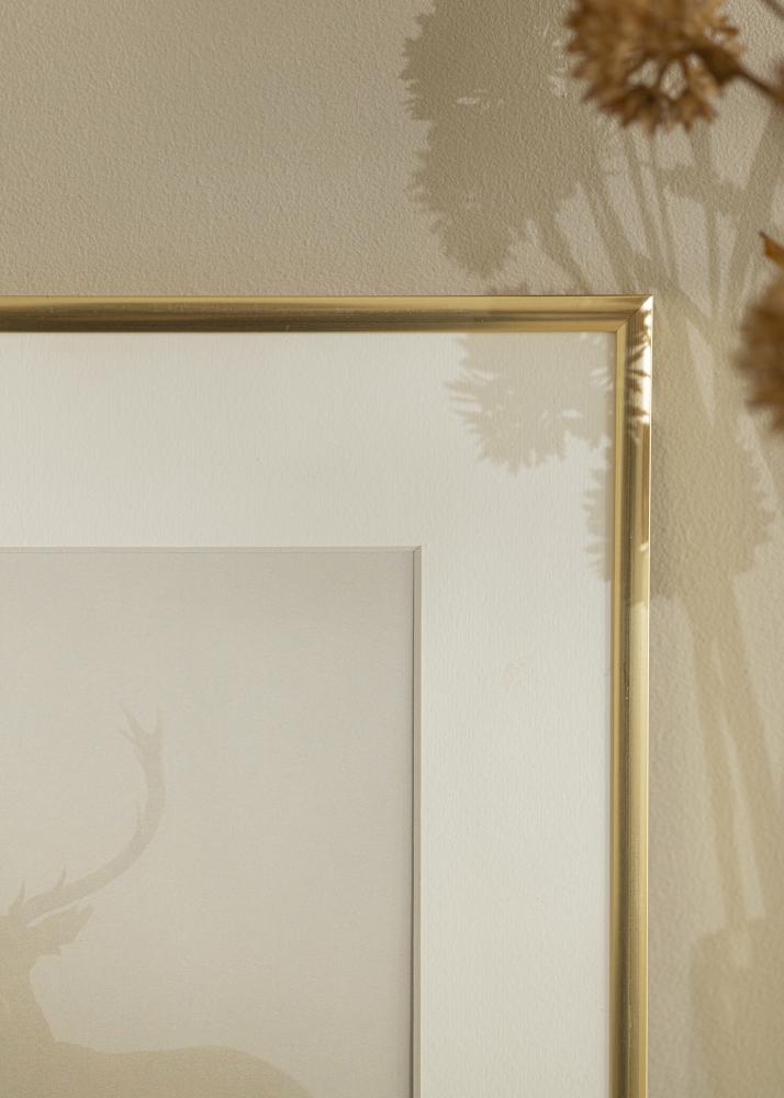 Rám New Lifestyle Zlato 60x90 cm - Pasparty Biela 40x70 cm