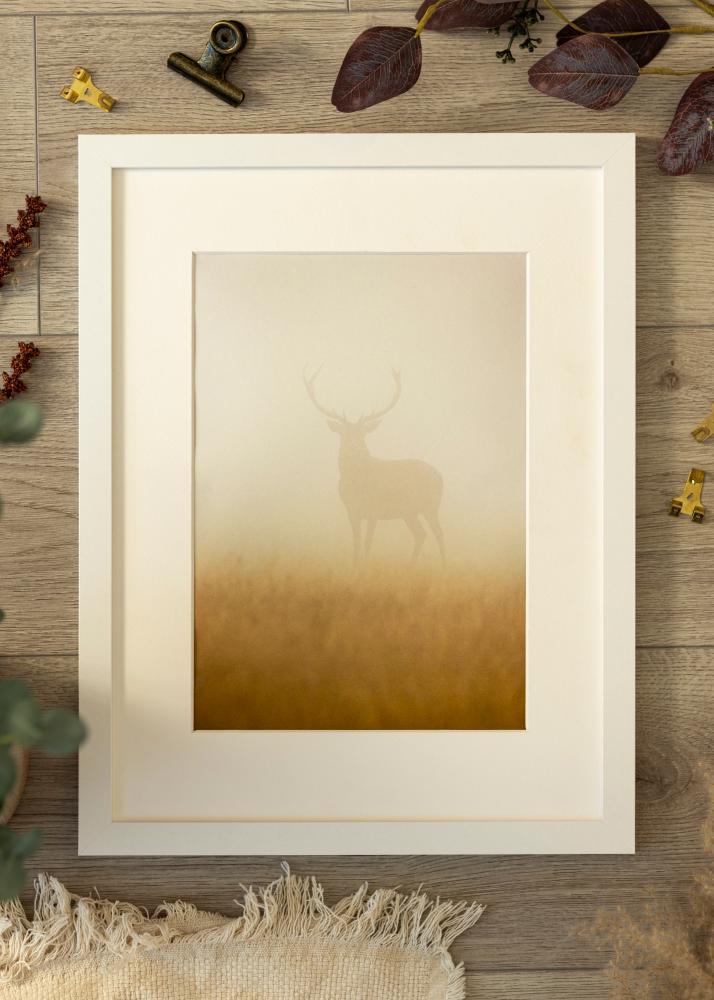 Rám BGA Classic Biela 70x90 cm - Pasparty Biela 60x80 cm