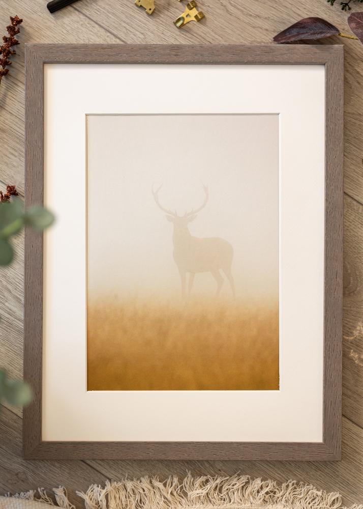 Rám Hermes sivá 60x60 cm - Pasparty Biela 50x50 cm