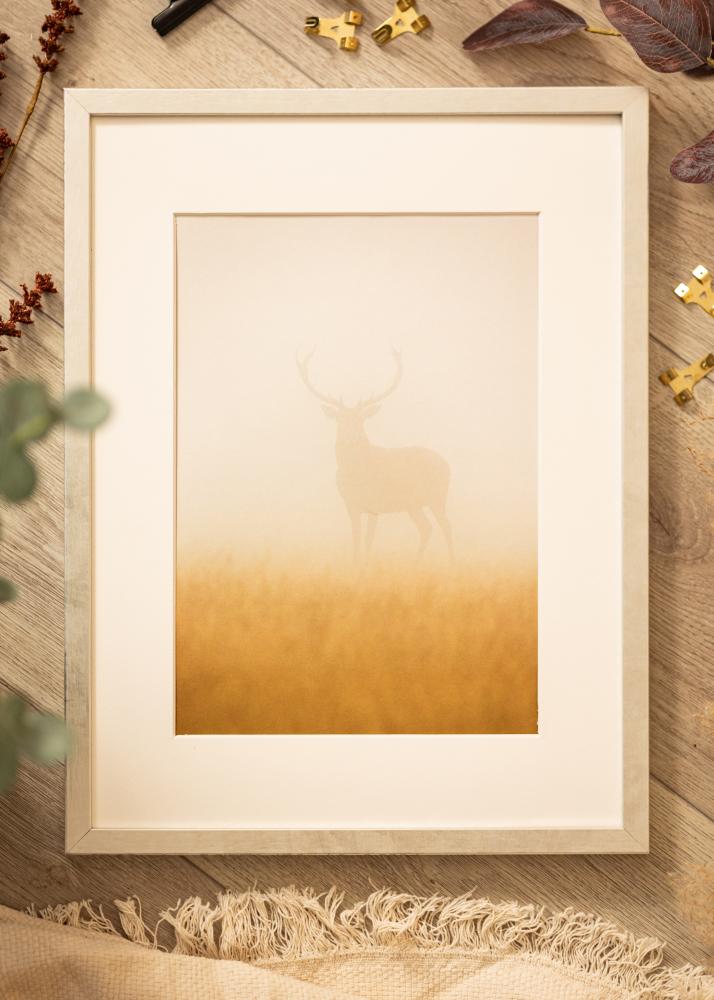 Rám Ares striebro 50x50 cm - Pasparty Biela 39x39 cm