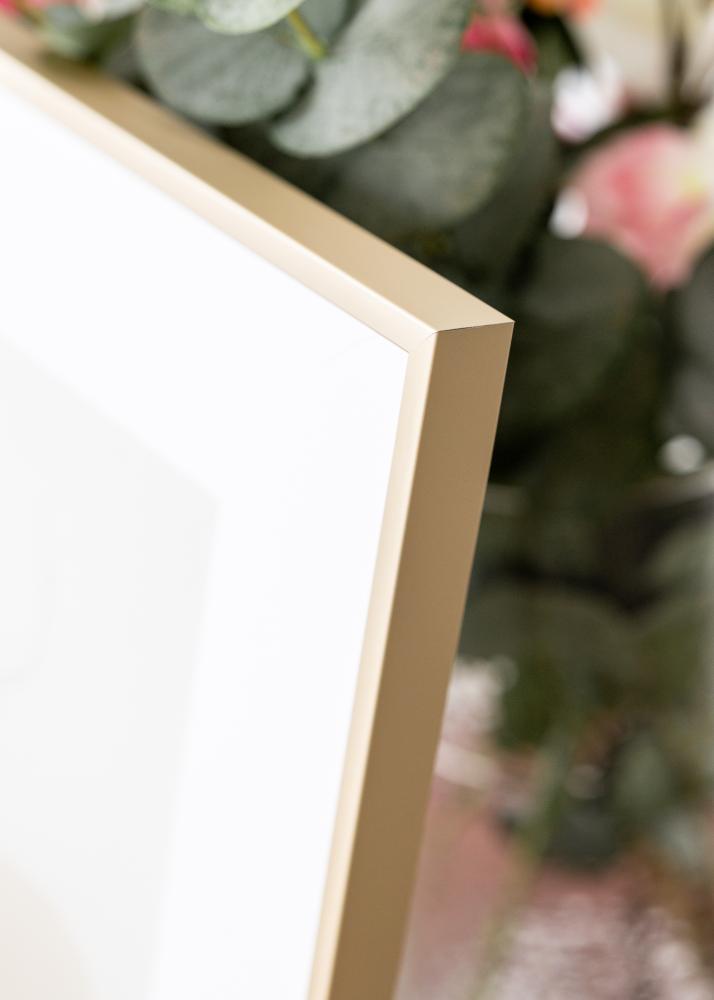 Hliníkový rám Mosadz 70x100 cm - Pasparty Biela 24x36 inches