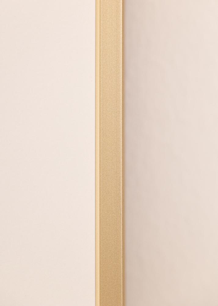 Hliníkový rám Mosadz 70x100 cm - Pasparty Biela 24x36 inches