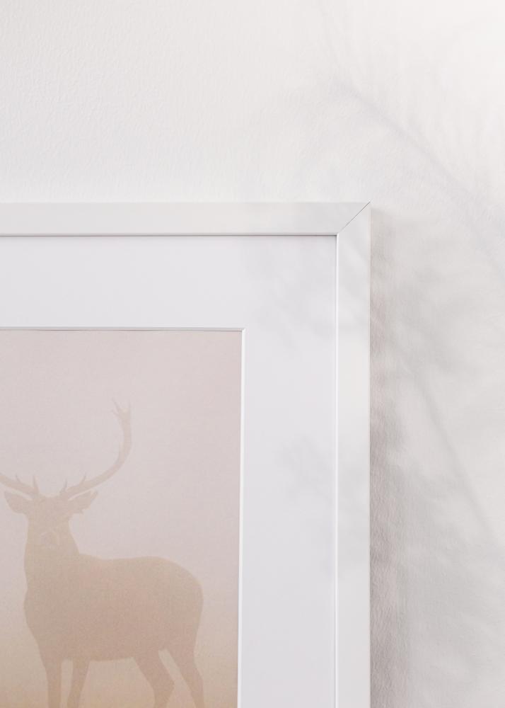 Rám Brooke Akrylglas Biela 29,7x42 cm (A3)