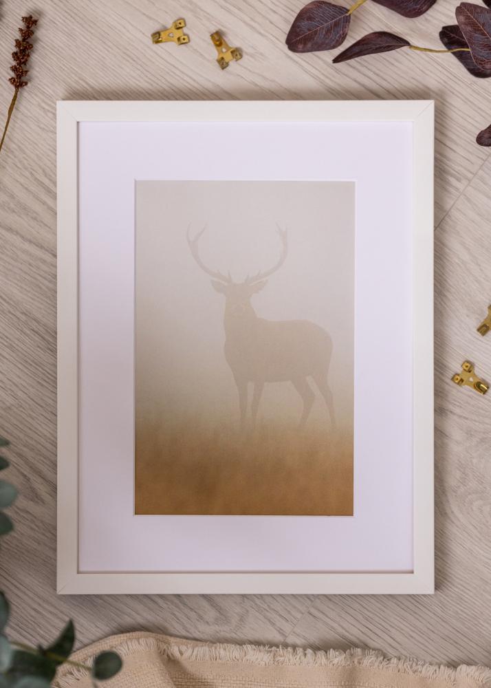 Rám Brooke Akrylglas Biela 29,7x42 cm (A3)