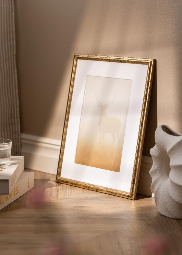 Rám Claudia Akrylové sklo Strieborný 59,4x84,1 cm (A1)