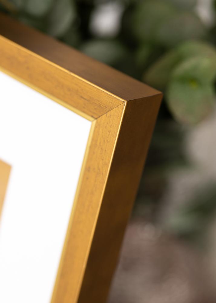 Rám Brema Akrylglas Zlato 21x29,7 cm (A4)